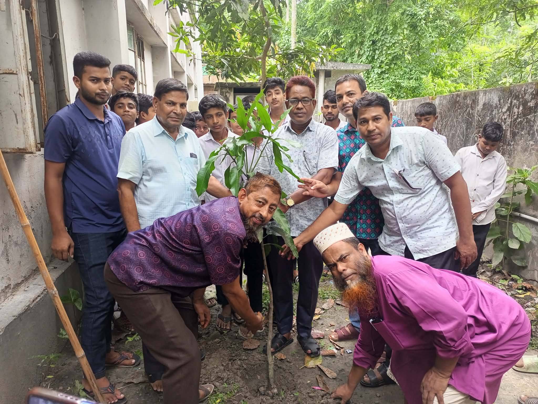 বৃক্ষরোপন 2026